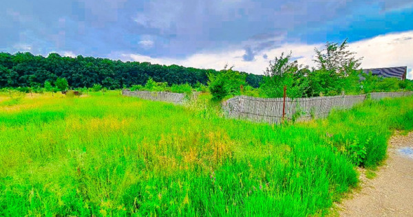 Teren intravilan Colina Verde Trivale Pitesti