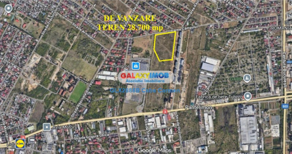 De teren Oras Pantelimon