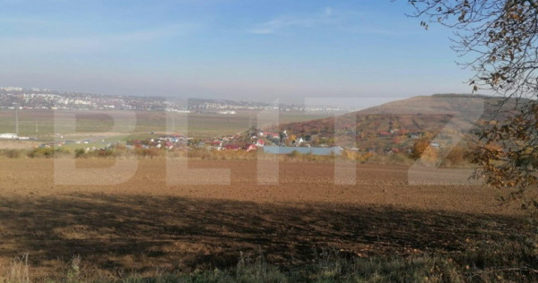 Teren extravilan 5000 mp, Uricani