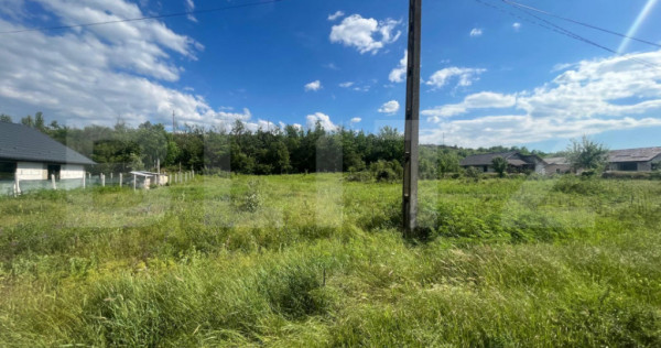 Teren intravilan Leamna de sus, 2500 mp, deschidere 40 ml