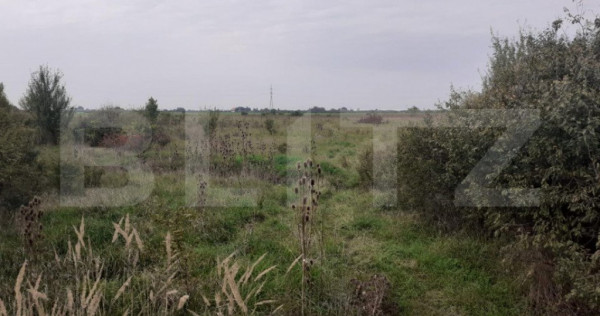 Teren de 39600 mp, PUZ, l&acirc;ngă Staţia de Epurare