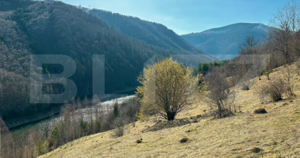 Teren 14 ha compact langa Lacul Tau Bistra