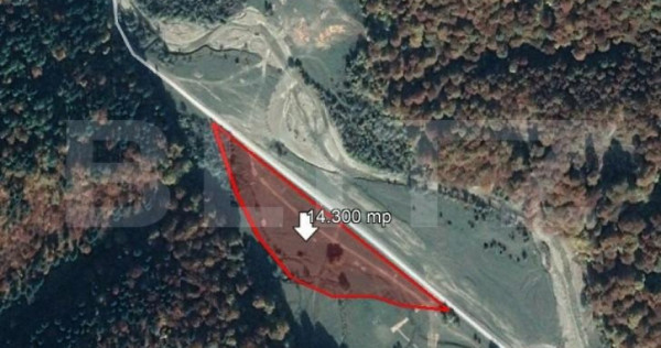 Teren 14.300 mp, Valea Zizinului