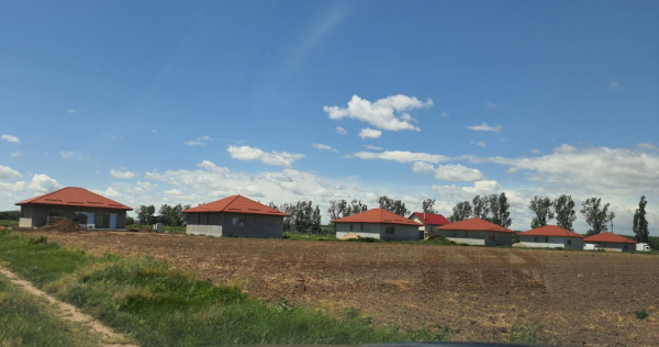 Teren 10.000mp Moara Vlasiei - Caciulati - Autostrada A3 (5m