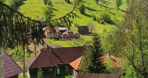 Cabana in Baisoara