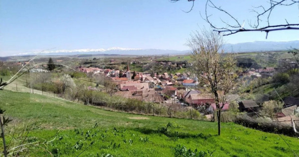 Casa Traditionala Ocna Sibiului 3 camere