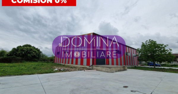 Hala industriala în Bălești - la 2,2 km de noua centura