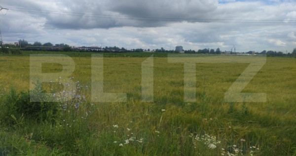 Teren extravilan, 6600 mp, Radauti