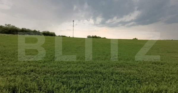 Casă semifinisată , teren generos, ideală pentru personal