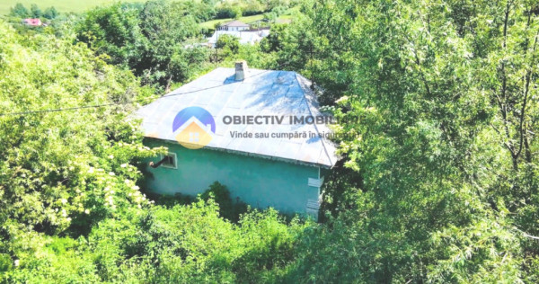 TEREN intravilan + casa DOBRENI - SARATA