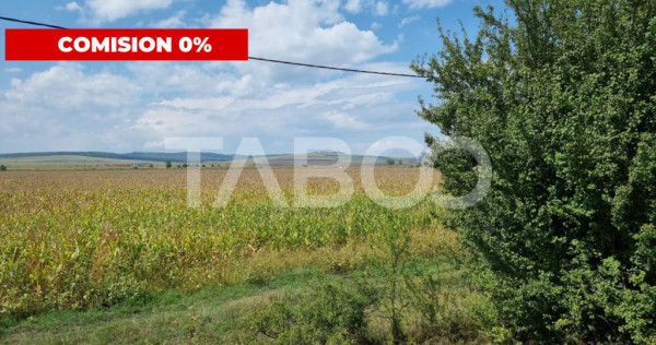 Oportunitate investitie comision 0% 28000 mp in Sura Mica Si