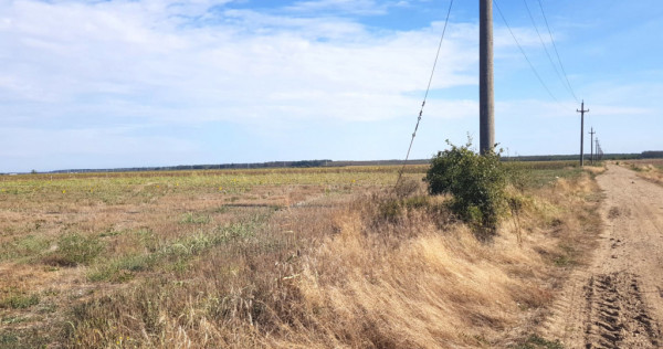 Teren intravilan Dragomiresti Vale Zurbaua