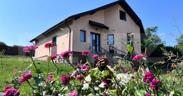 Casa plan parter, 800 mp teren, Tomesti