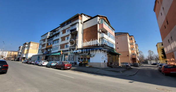 Apartament 3 camere - Targu Jiu, Strada Castanilor