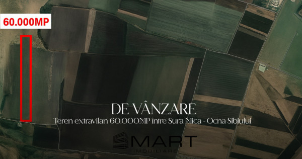 Teren agricol 6ha Ocna Sibiului
