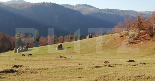 Teren de vanzare, Scarisoara, ideal pentru cabana