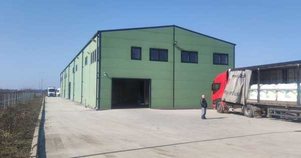 Hala Buftea DN 1A 1278 mp pe Teren 5000 mp Chilipir