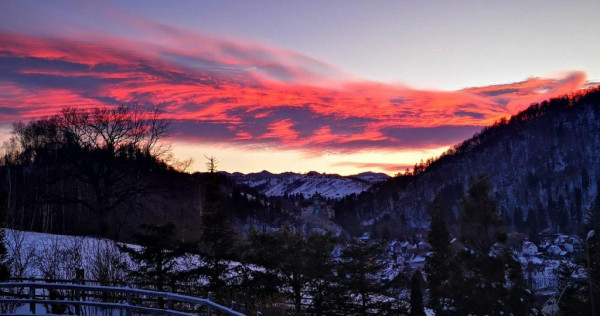 FILM! 20.000 mp in povestea naturii din renumitul areal: Bra