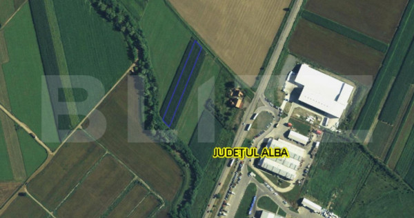 Teren intravilan 3000mp, Oiejdea