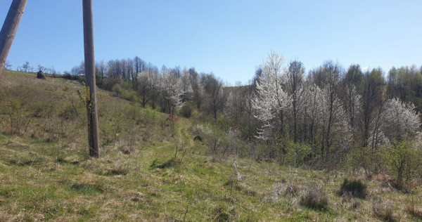 Teren cu panoramă fabuloasă, 10.059 mp, Roșia. 25.000 ...