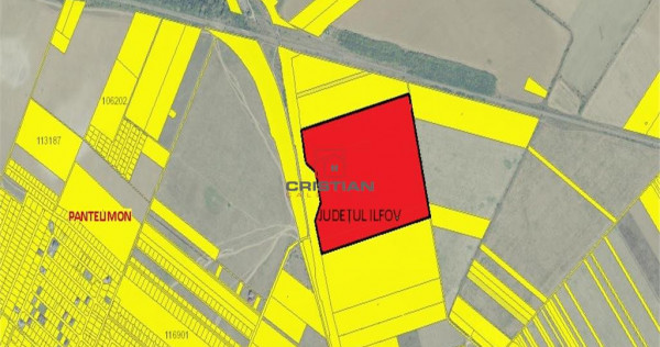 Teren intravilan Pantelimon - Centura, Ilfov