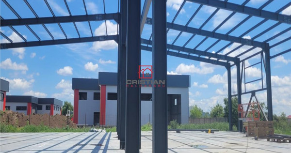 Depozit/hala/spatiu industrial Domnesti - Centura, Ilfov