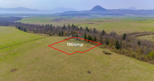 Teren Crizbav 1904 mp/PUZ/Langa Padure/Intravilan