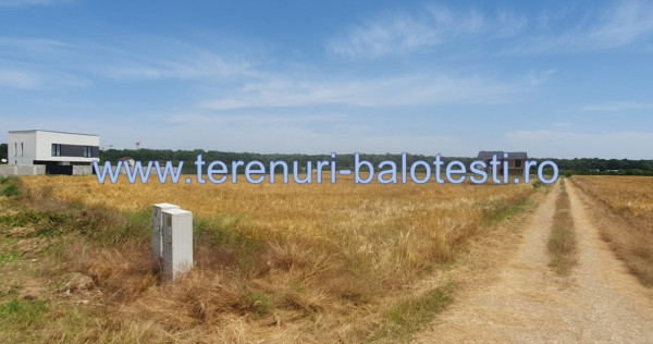 Teren Strada Rozelor,Balotesti,padure,case noi 650mp