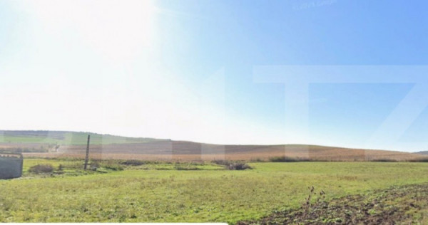 27 Ha de Teren Ideal pentru Agricultură sau Parc Fotovoltai