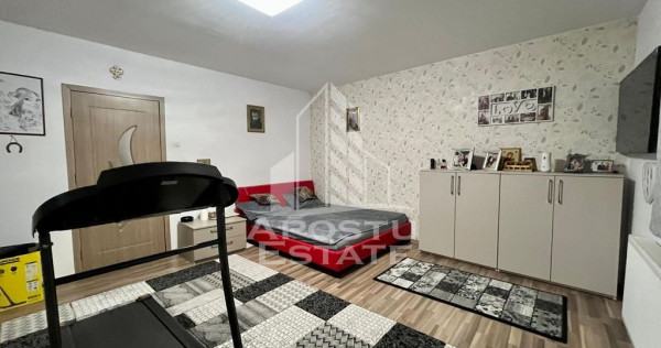 Doua apartamente la curte comuna,zona Traian