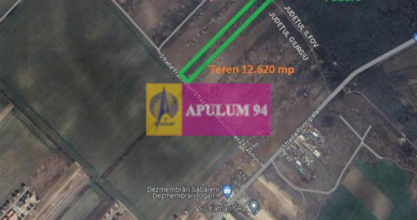 Săbăreni, teren 12620 mp pentru case, lângă pădure