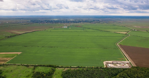 Teren arabil de 1074 hectare în Ialomița