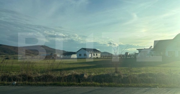 Teren Intravilan de vanzare, 2000 mp, zona Livezile