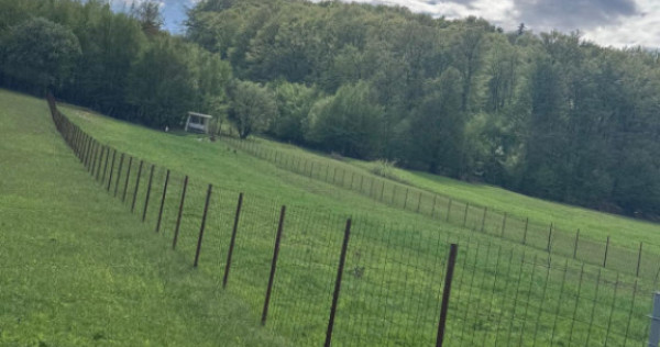 Teren intravilan, 2500mp, Voievodeasa, Marginea