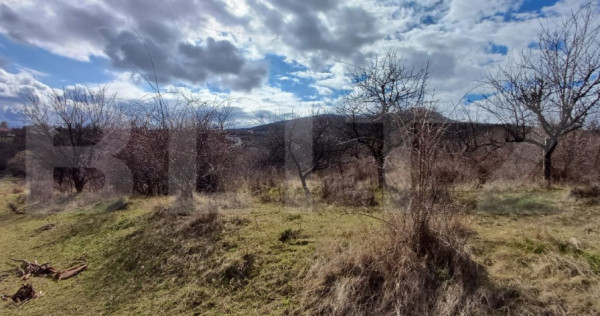 Teren extravilan 2500 mp