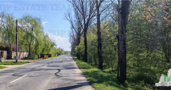 Teren constructii, 650 mp, langa padure, apa, gaze, curent,