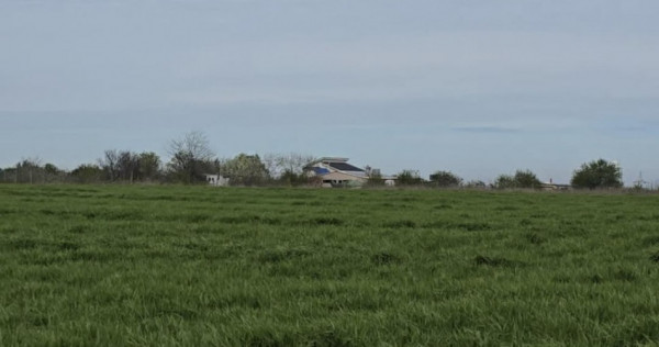 Vanzari terenuri in Agigea zona Golful Pescarului