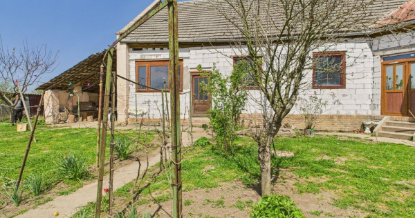 Casă cu Grădină Mare la 30 km de Timișoara