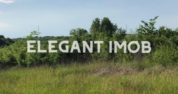 Teren cu pret foarte bun