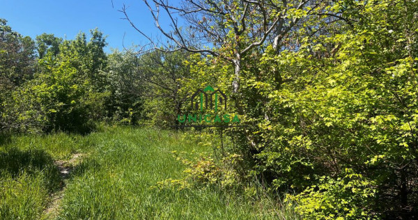 Teren intravilan/934 mp/Lenin Sud