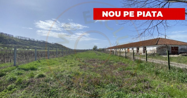 Teren intravilan cu grajduri si anexe – Aninoasa AG