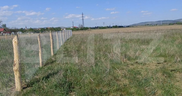 Teren intravilan 525 mp apa curent gaz la aprox. 50 m constr