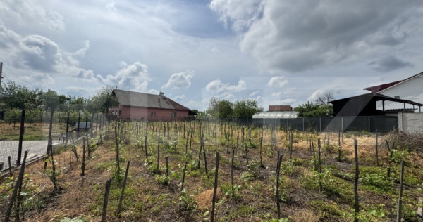 Teren intravilan 1.342 mp Filiași, parcelabil, ideal invest