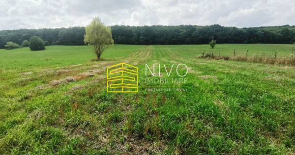 Teren intravilan - Budiu Mic - Str. Principală