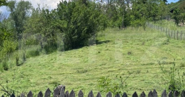 Teren intravilan, deschidere la drum – Bezdead, Dâmboviț