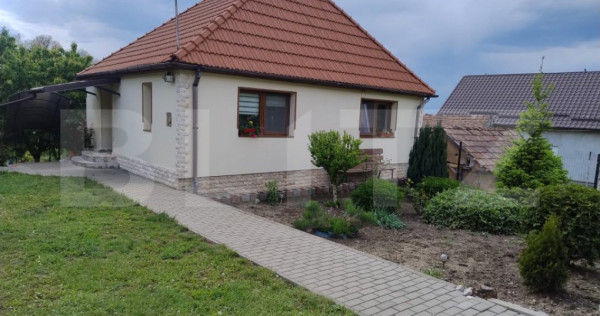 Casa in Teaca cu 4 camere si 10 ari de teren