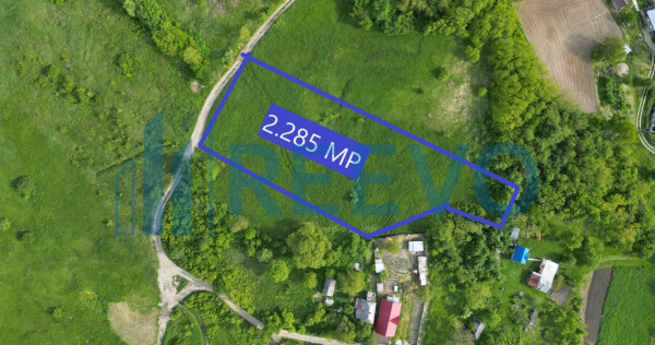 Teren de vânzare, Com. Racova, Str. Bradului, Bacău