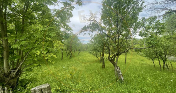 Teren intravilan Sotrile 6762 mp – Investitie, camping, ag