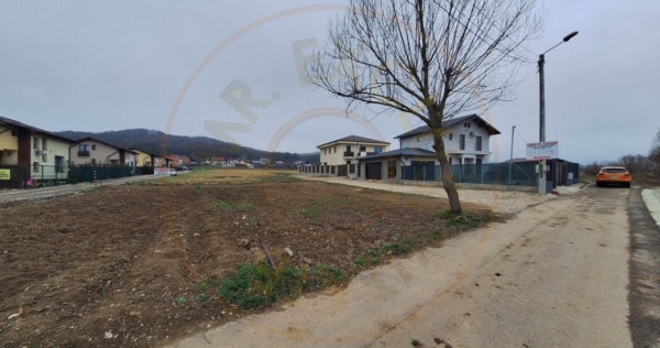 Teren 500-800 mp Braileni-Valea Ursului parcelabil