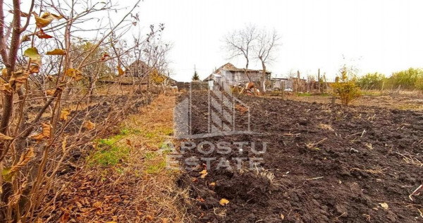 Teren 1000mp Cu Utilitati Dudesti Noi